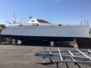 Catana 411