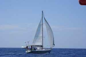 Diddl, notre ancien Maracuja
