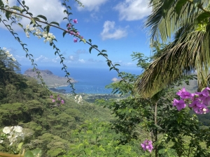 panorama baie Taiohae