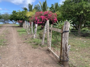 chemin baie colette