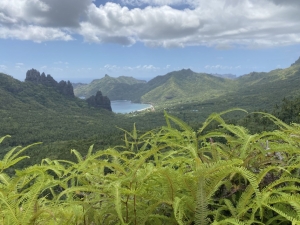 point de vue sur haitieu