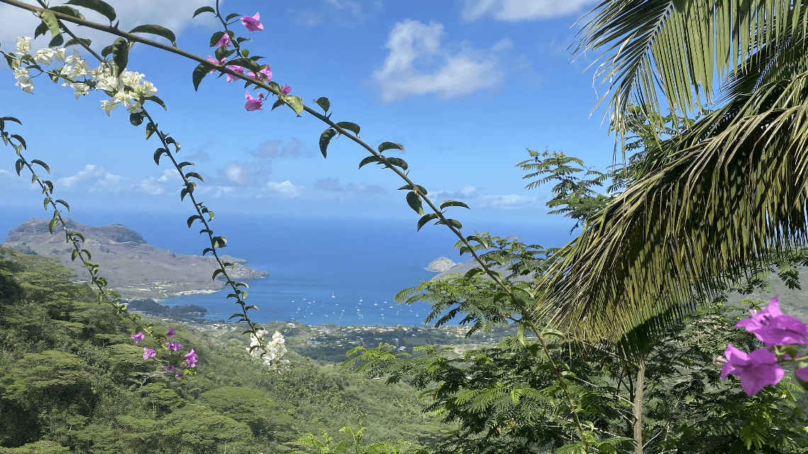 Les îles Marquises