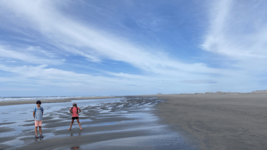 Nord de l’île du Sud de la Nouvelle-Zélande